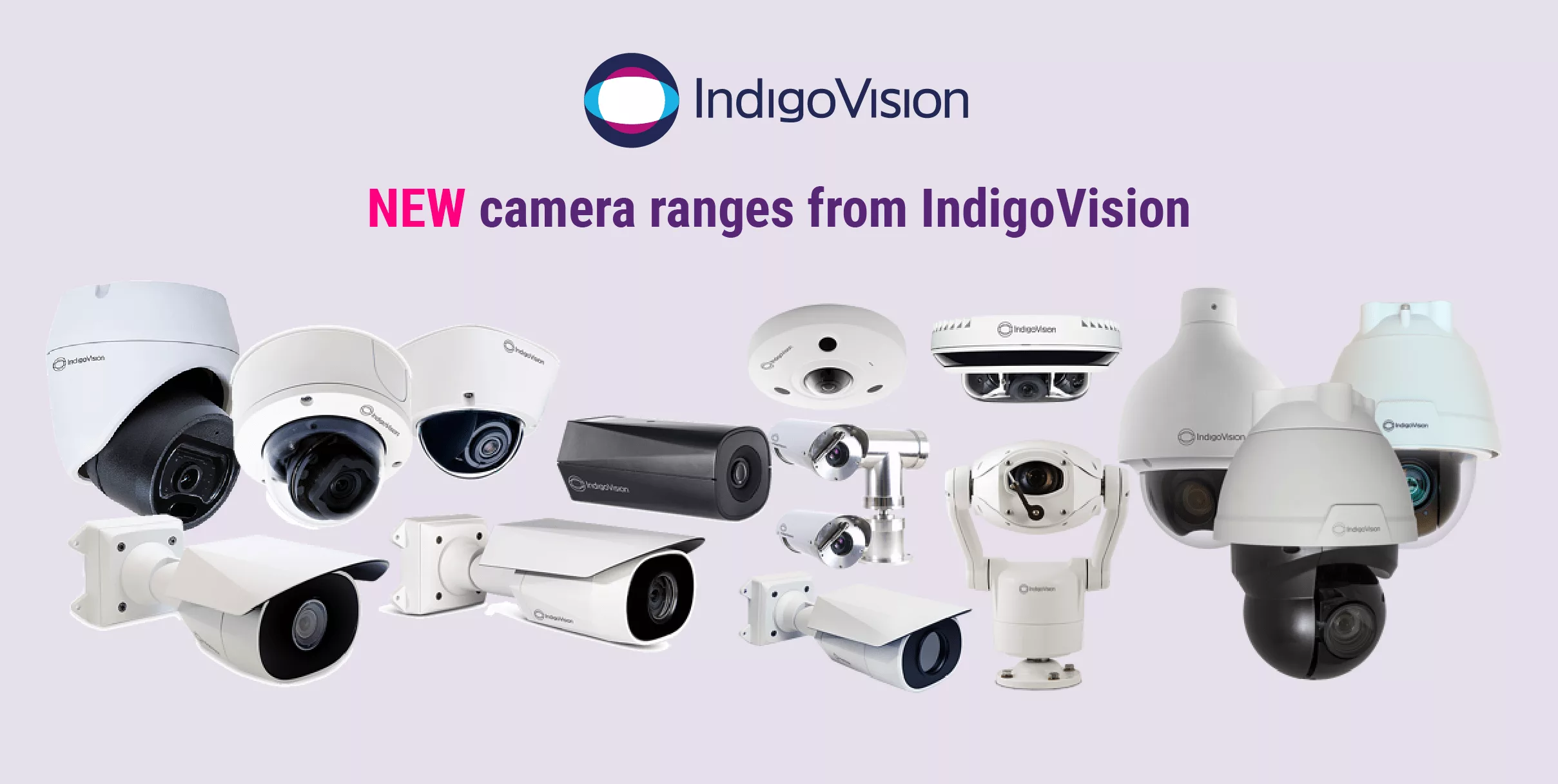 IndigoVision